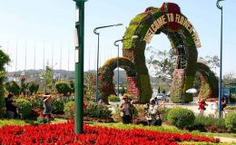 Vườn hoa trung tâm thành phố